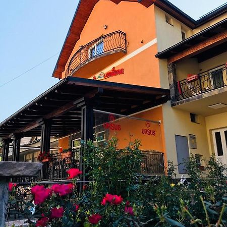 Pensiunea Montana Borsa Mm Băile Borşa Buitenkant foto