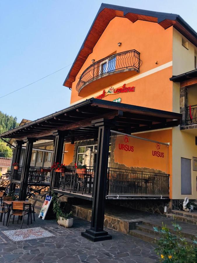 Pensiunea Montana Borsa Mm Băile Borşa Buitenkant foto